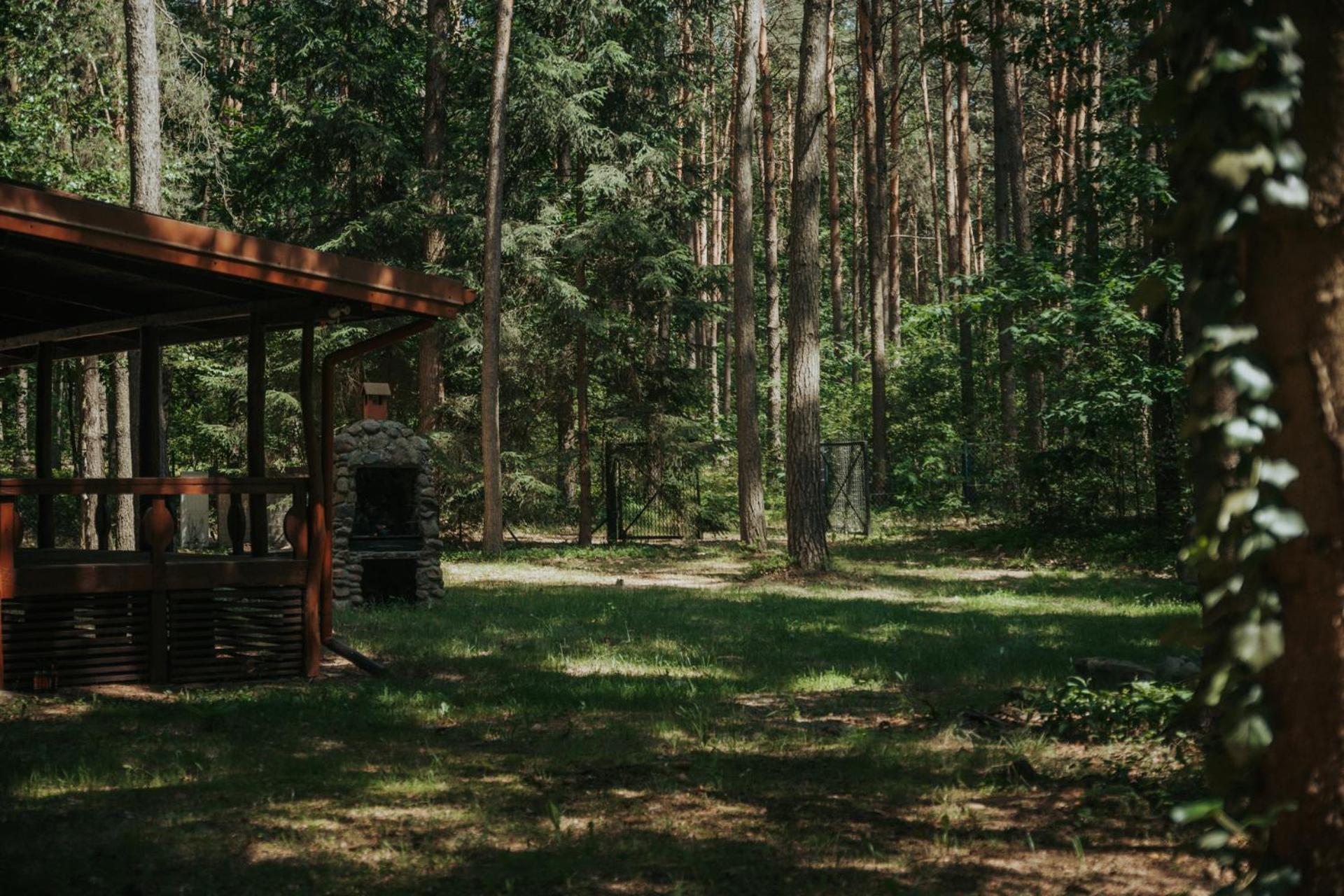 Forest Cabin - 50Min Od Warszawy Wola Polska Dış mekan fotoğraf