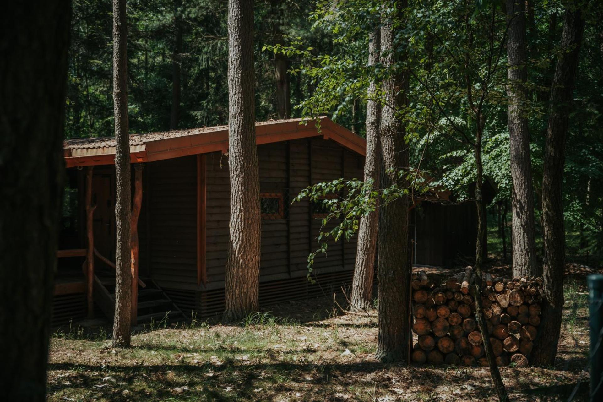 Forest Cabin - 50Min Od Warszawy Wola Polska Dış mekan fotoğraf