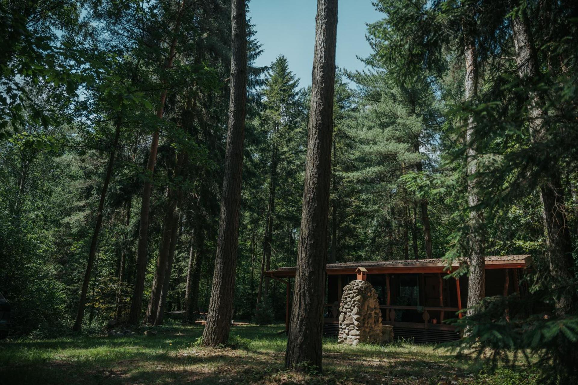 Forest Cabin - 50Min Od Warszawy Wola Polska Dış mekan fotoğraf
