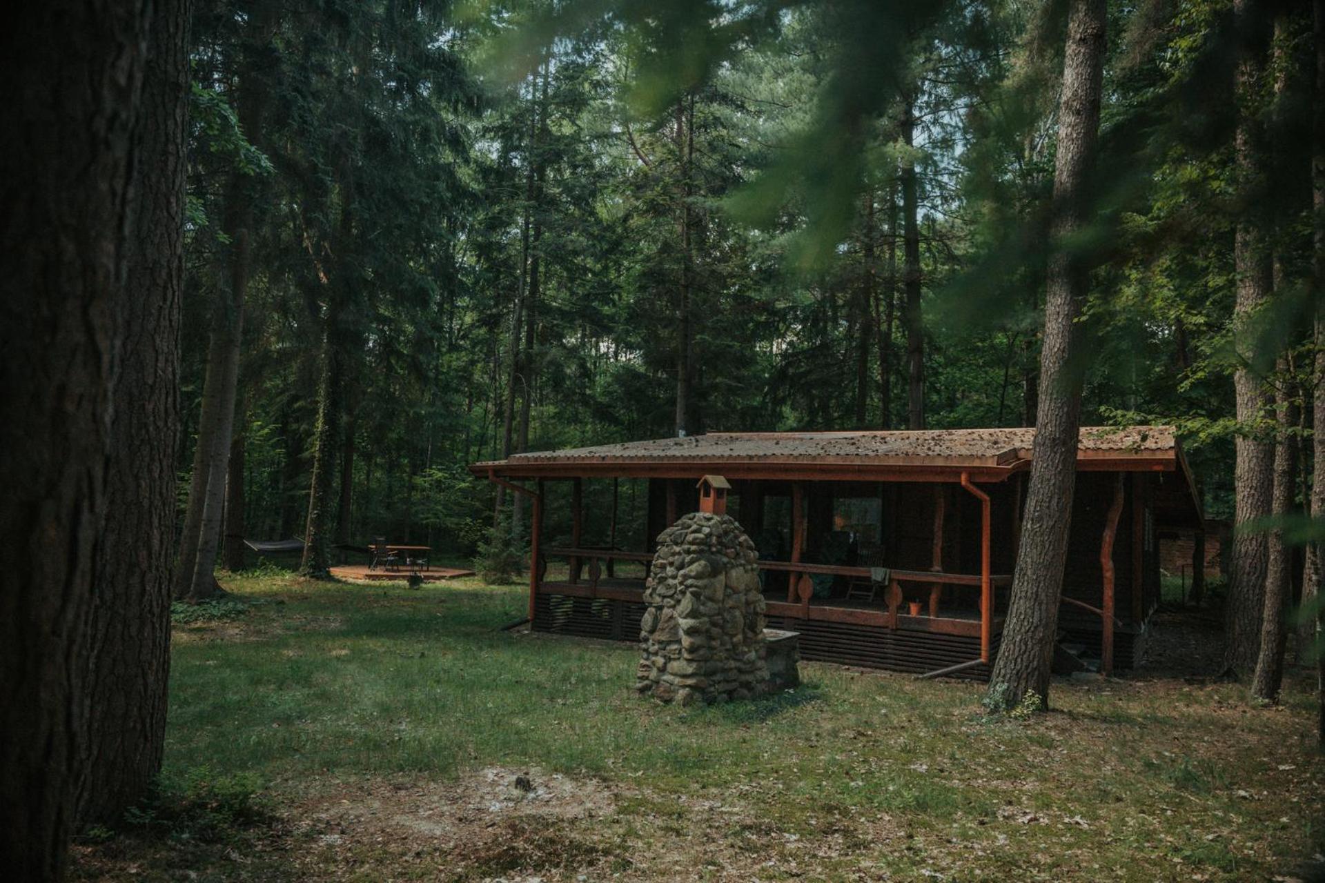 Forest Cabin - 50Min Od Warszawy Wola Polska Dış mekan fotoğraf