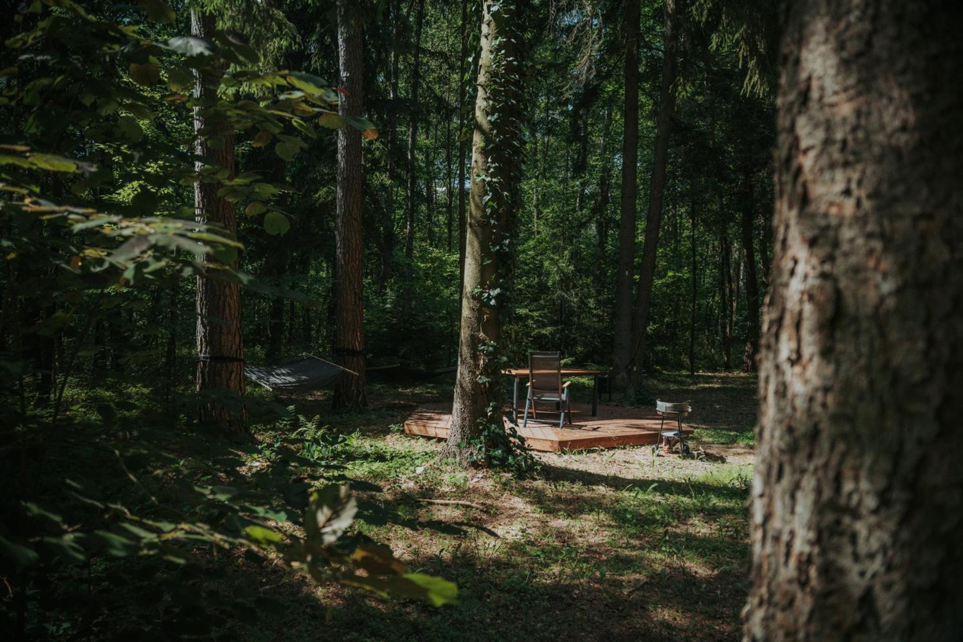 Forest Cabin - 50Min Od Warszawy Wola Polska Dış mekan fotoğraf