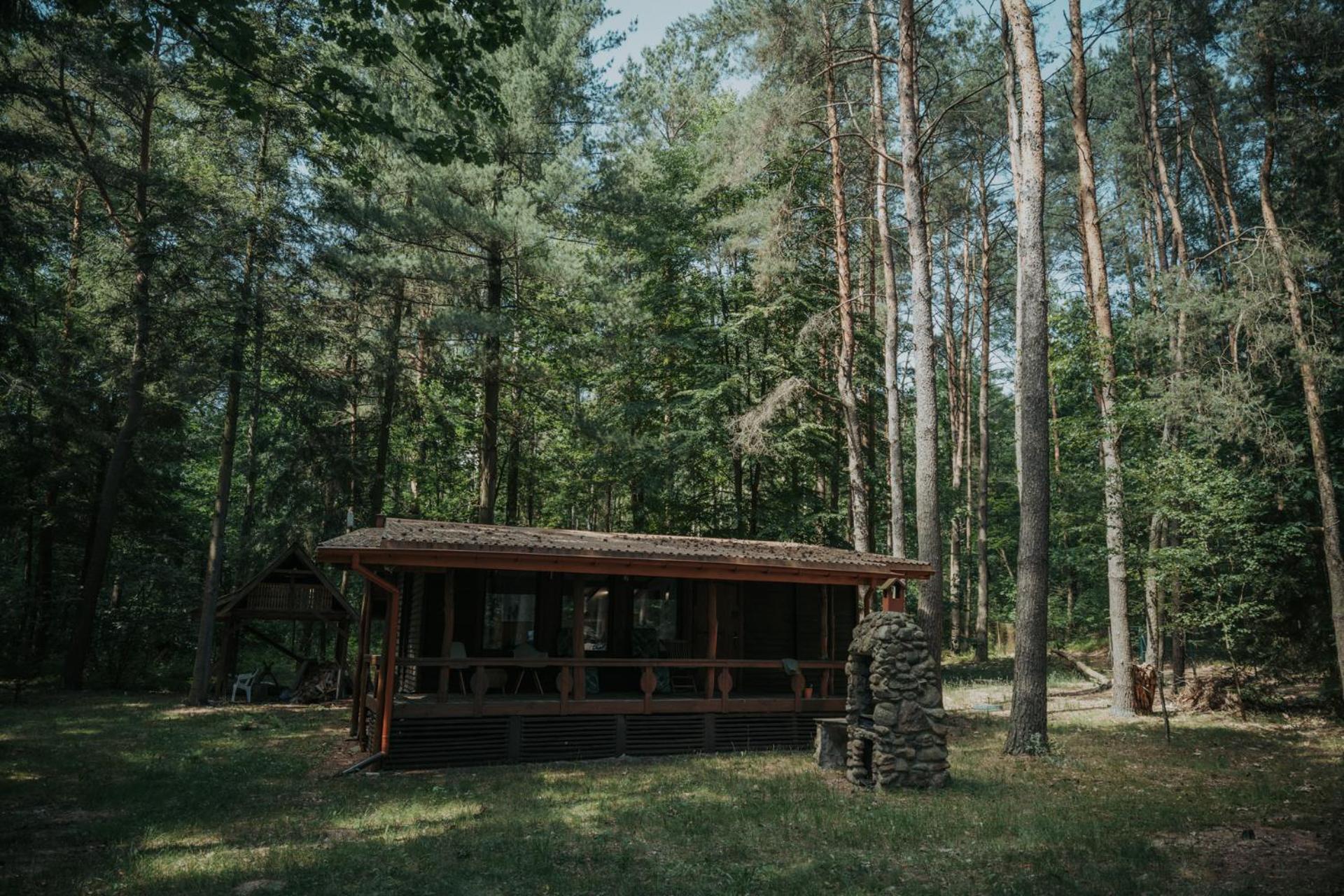 Forest Cabin - 50Min Od Warszawy Wola Polska Dış mekan fotoğraf